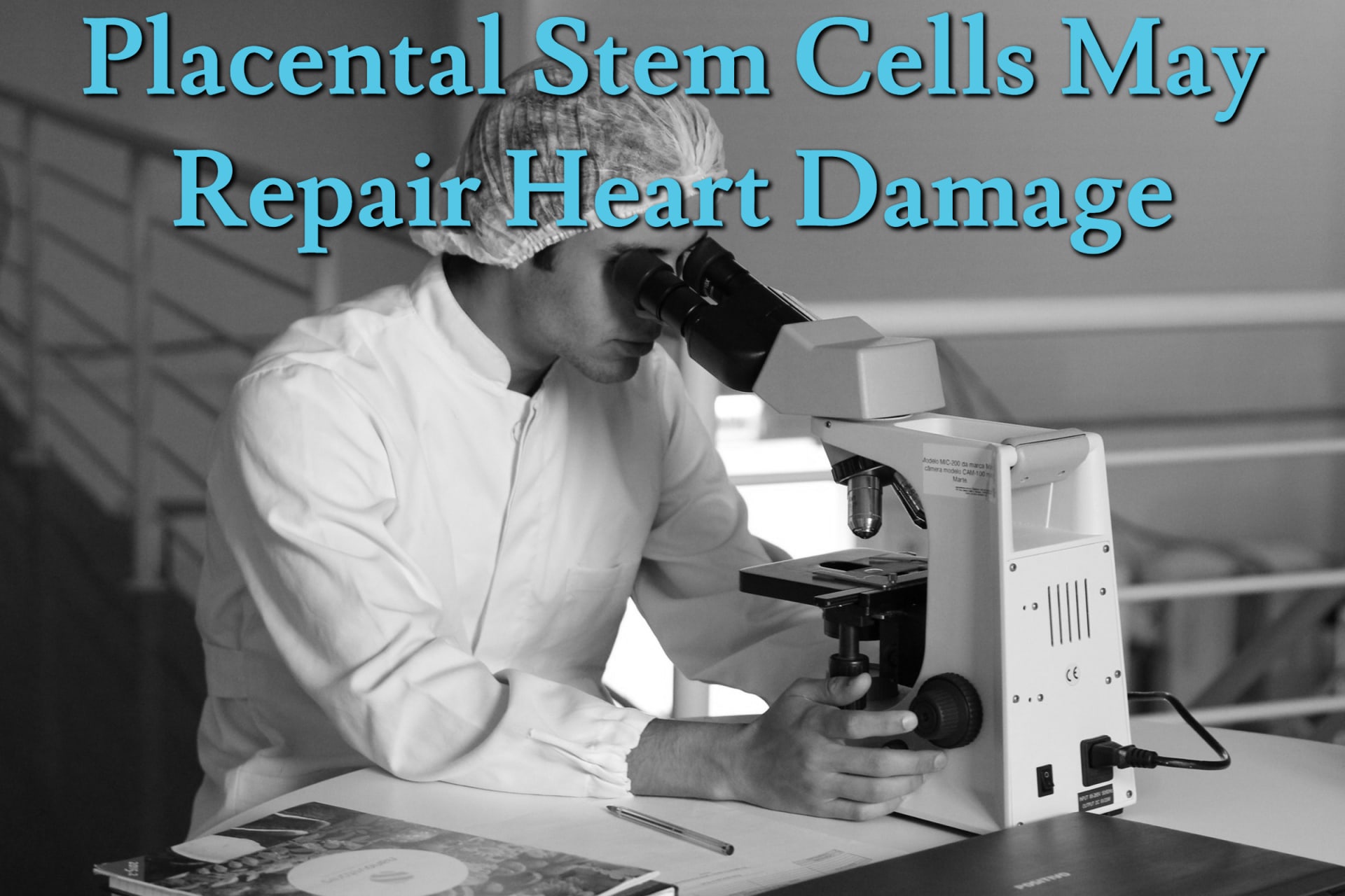 Placental Stem Cells