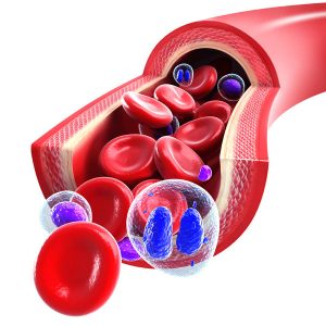 Stem Dell Regenrative Therapy Denton Texas - image of red blood cells flowing through vein